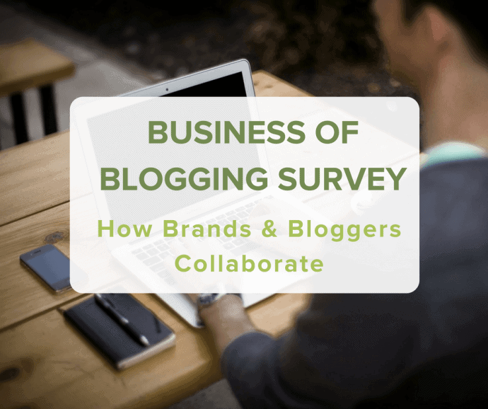 Travel Blogging Business Survey