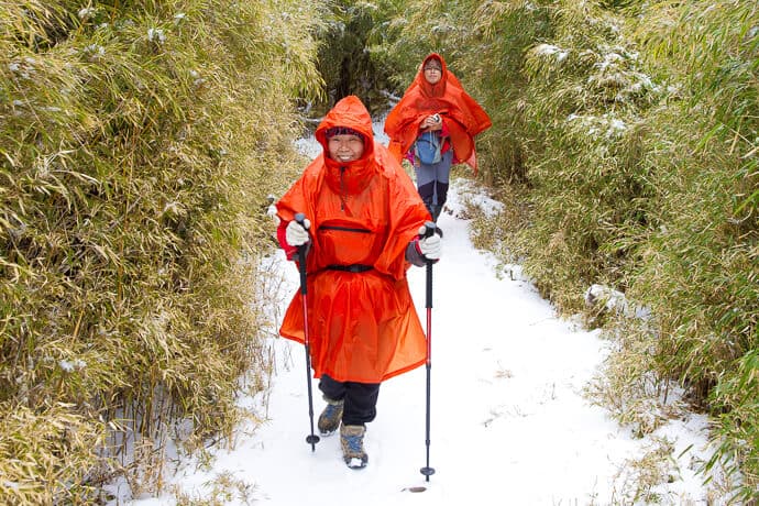 See snow in Taiwan in Hehuanshan or Snow Mountain