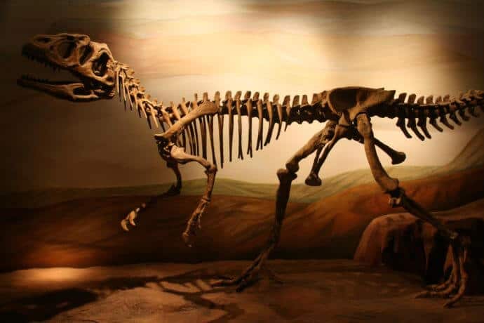 Patagonia Argentina Tourist Attractions -Paleontology Museum Trelew