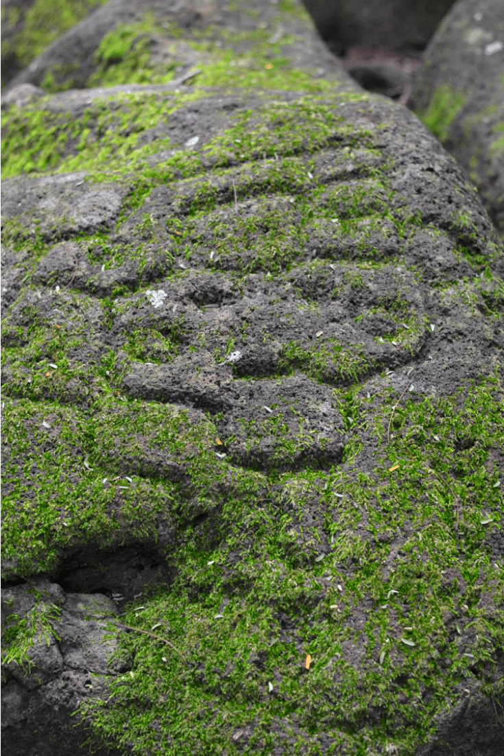 Petroglyphs on Ometepe Island - Finca Magdalena