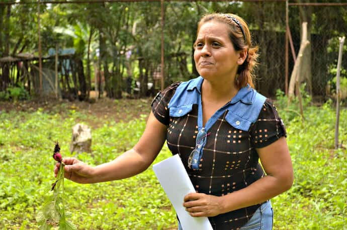 Volunteer on Ometepe Island