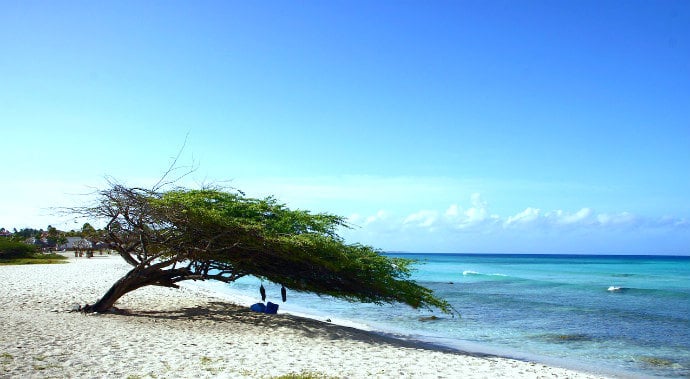 Best Southern Caribbean Islands - Aruba Image by Helmut Mueller from Pixabay
