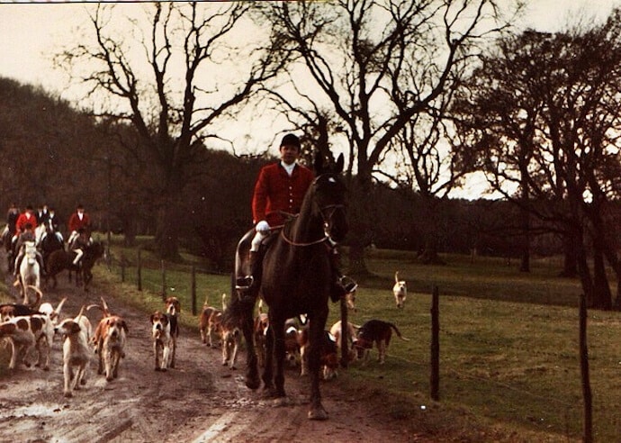 15 Harmful Traditions - Fox Hunting in the UK