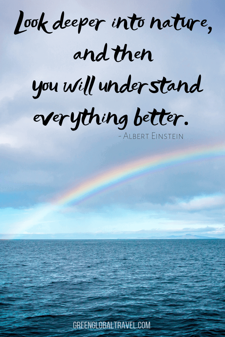 Inspirational Nature Quotes "Look deeper into nature, and then you will understand everything better." - Albert Einstein