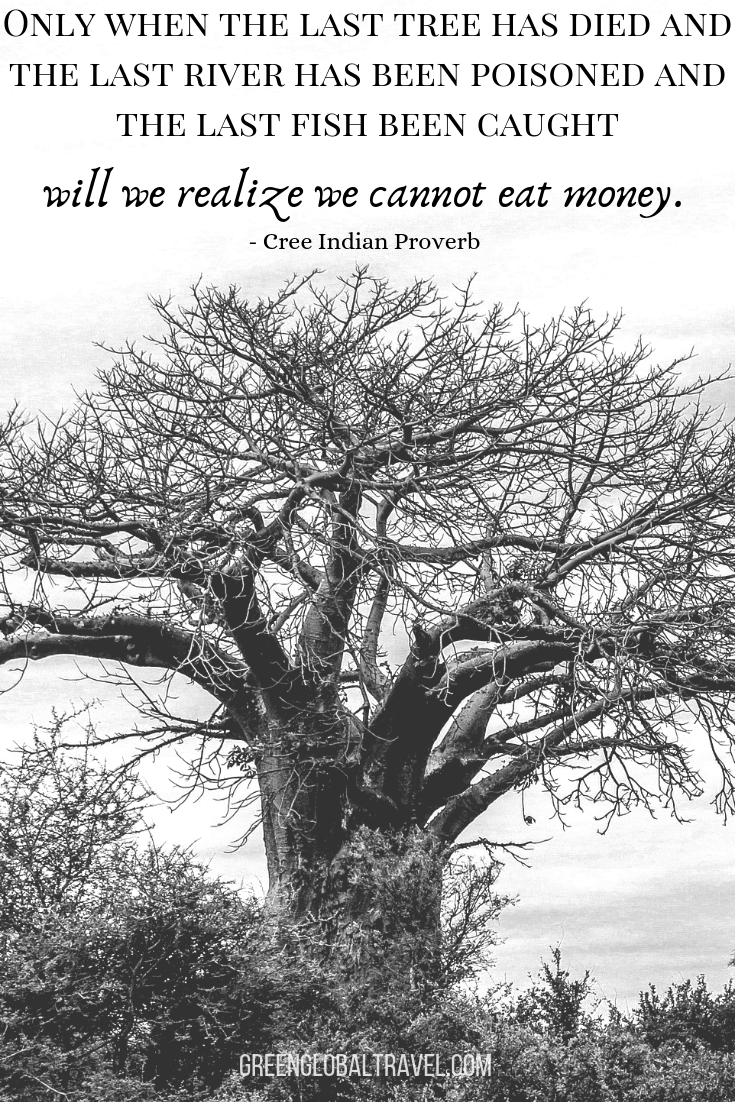 Nature Quotes "Only when the last tree has died and the last river been poisoned and the last fish been caught will we realize we cannot eat money." –Cree Indian Proverb