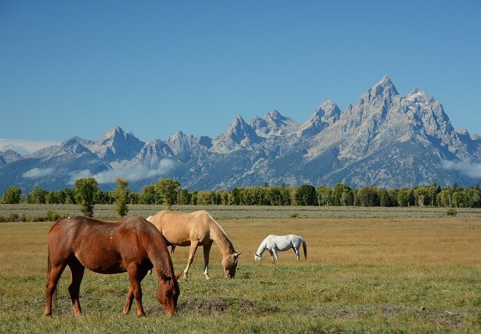 Best Mountains in the US - Grand Teton by Steppinstars from Pixabay