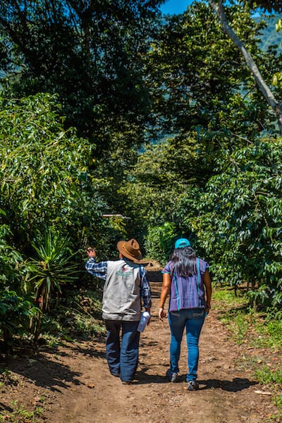 Guatemala Coffee Tour in Antigua Guatemala