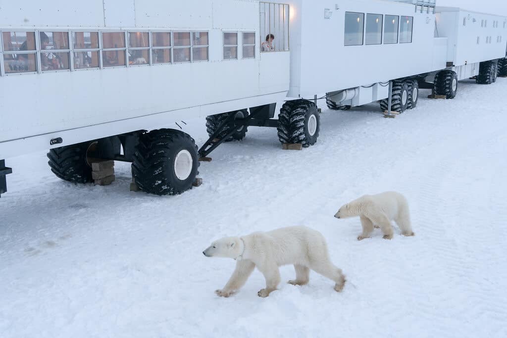 Unusual Hotels - Tundra Buggy Lodge