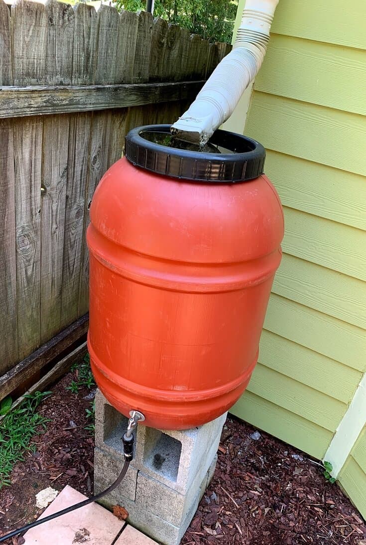 DIY rainwater harvesting system setup with barrels and gutters