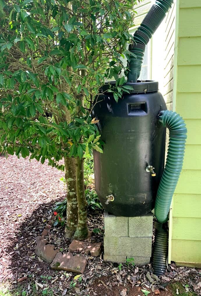 Rainwater Harvesting System with overflow drain