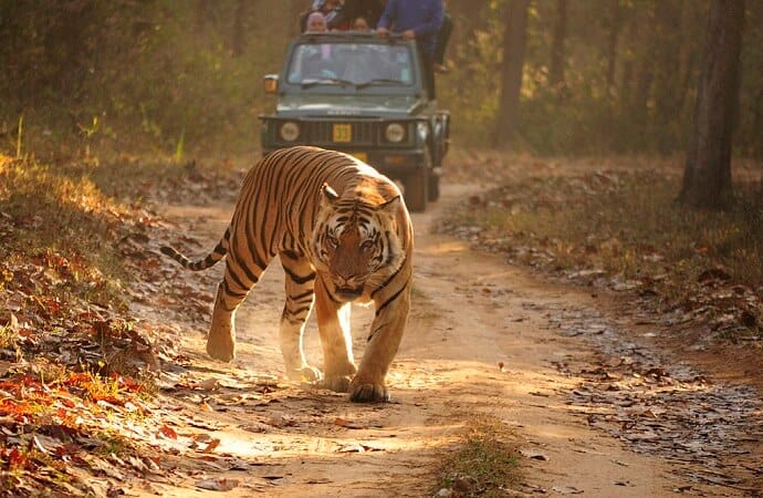 Famous tourist places in India - Kanha Tiger Reserve