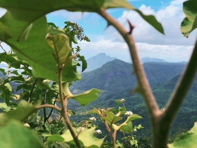 Stunning mountain scenery on the African island of Mauritius