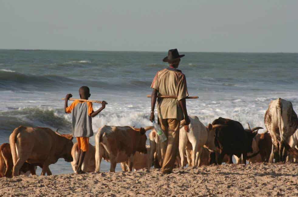 Shepherds on a beach in Carabane Island, Senegal