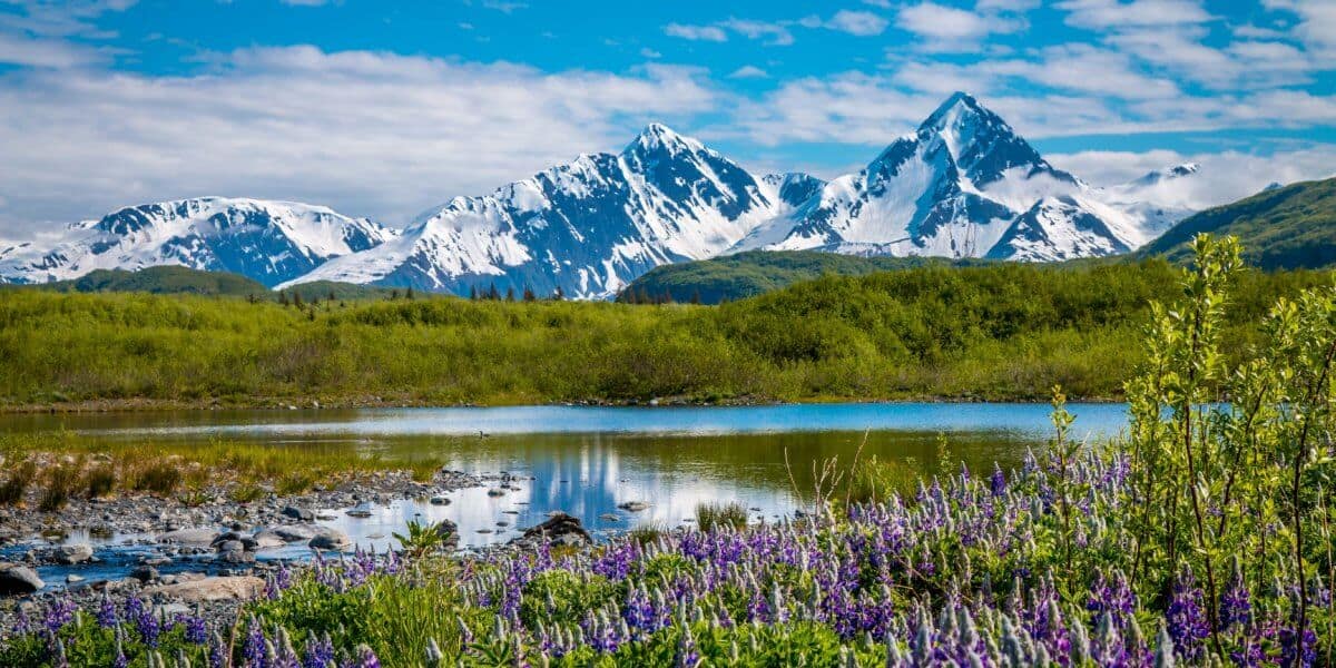 Pederson Lagoon at Kenai Fjords Glacier Lodge