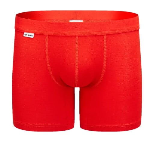 https://greenglobaltravel.com/wp-content/uploads/2020/03/TBO-Clothing-Must-have-boxer-briefs.jpg