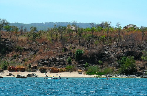 african wildlife safaris