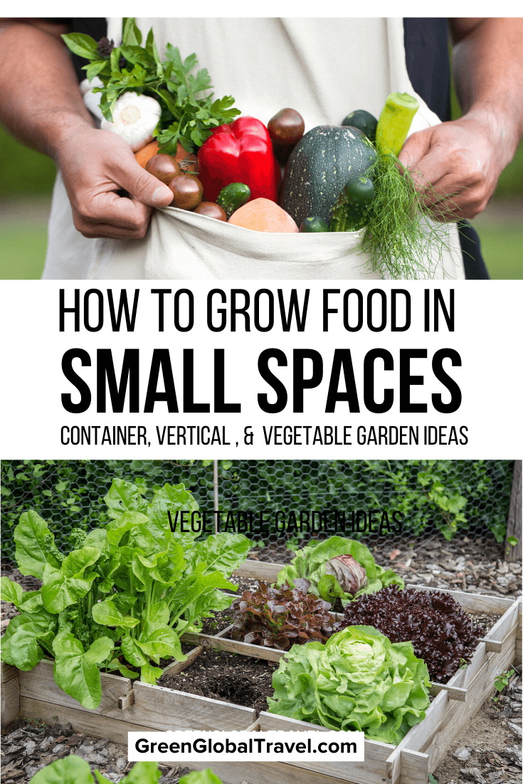 How To Grow Food In Small Spaces Container Gardens Vertical Gardens Small Vegetable Garden Ideas Green Global Travel