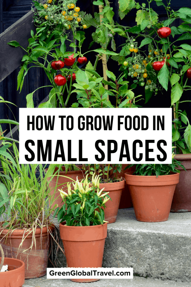How to Grow Food in Small Spaces (Container Gardens, Vertical Gardens