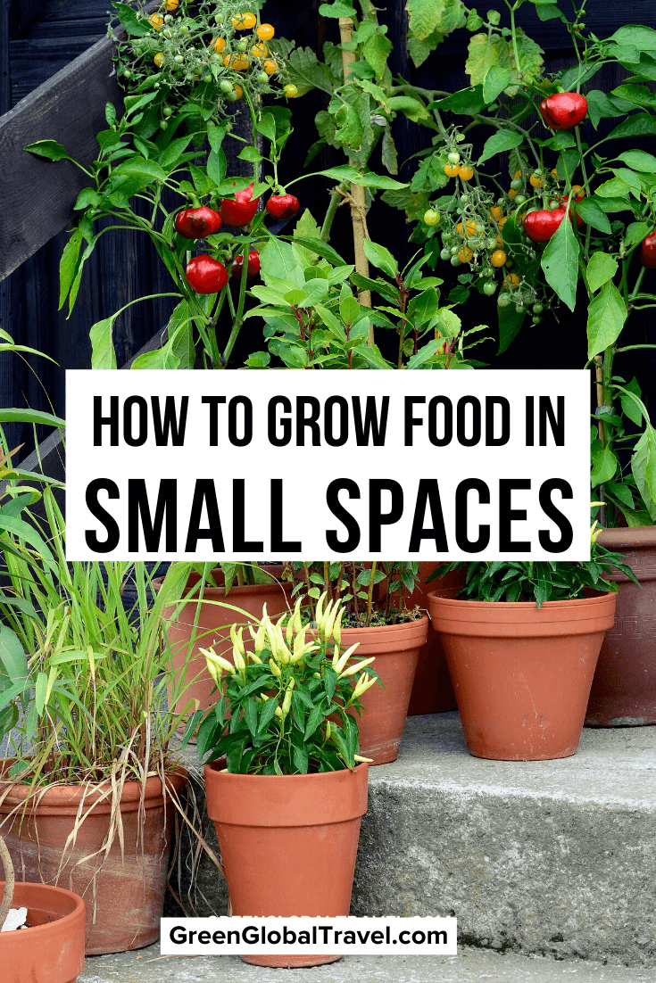 How to Grow Food in Small Spaces: Container Gardens, Vertical Gardens & Small Vegetable Garden Ideas for beginning gardeners. | small space garden design | gardening in small spaces | container gardening | best vegetables for small garden | gardening in a small space | best vegetables to grow in small spaces | plants for small gardens | best plants for small garden |small herb garden ideas | small veggie garden ideas | small space vegetable gardening | small herb garden | small space garden