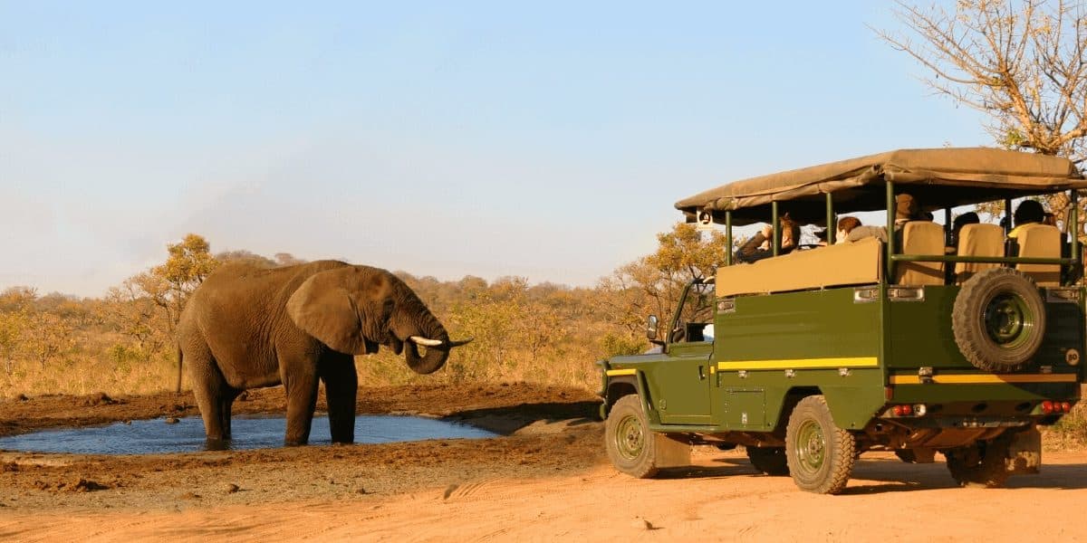 Best National Parks in Africa for Wildlife Safaris