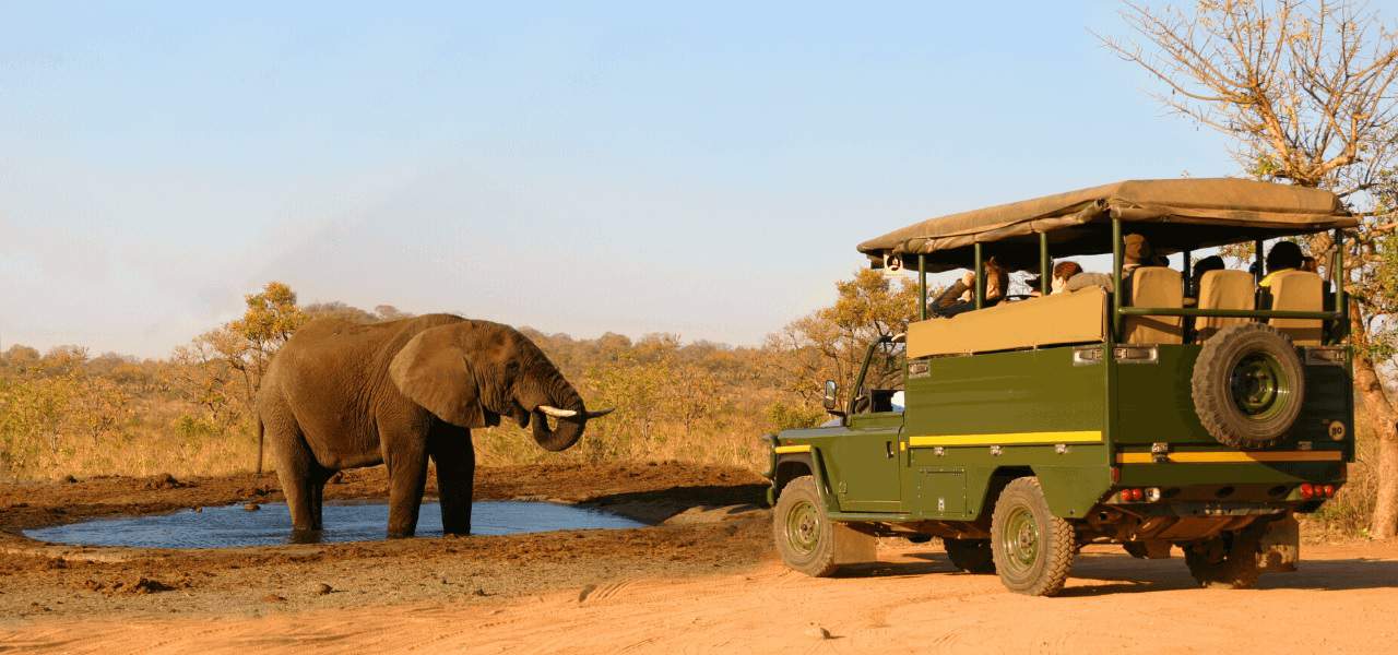 What is a Safari? Wildlife Safari in Africa