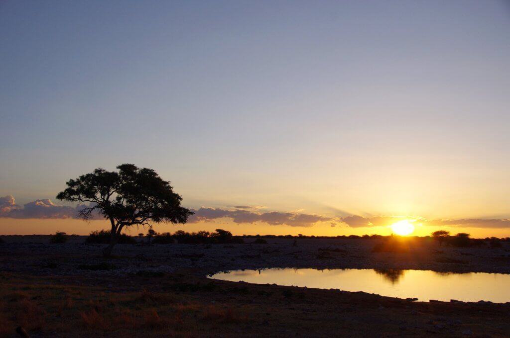 biggest safari in africa