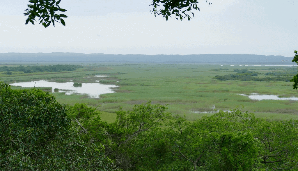 biggest safari in africa