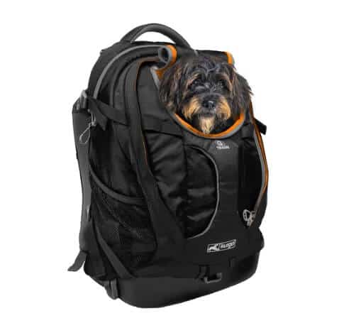 Kurgo G-Train K9 Pack-V2