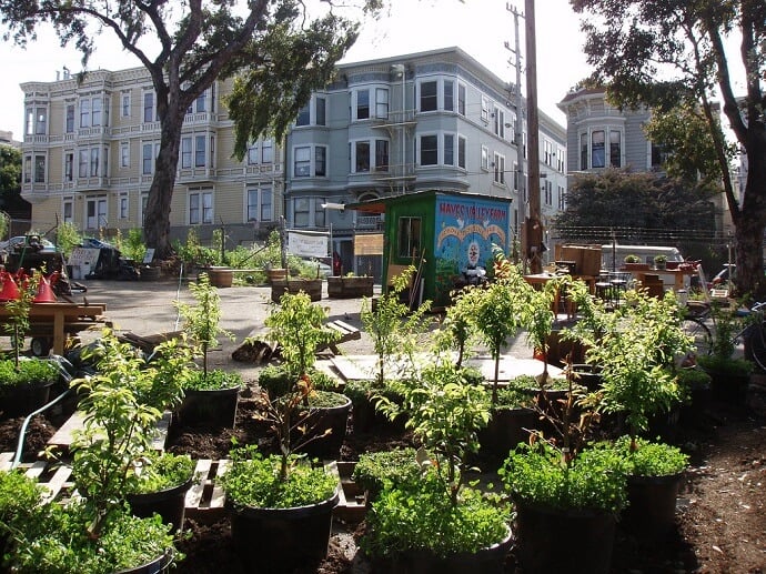 Urban Food Forest Garden