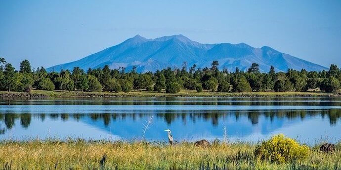 20 National Forests - Southwest