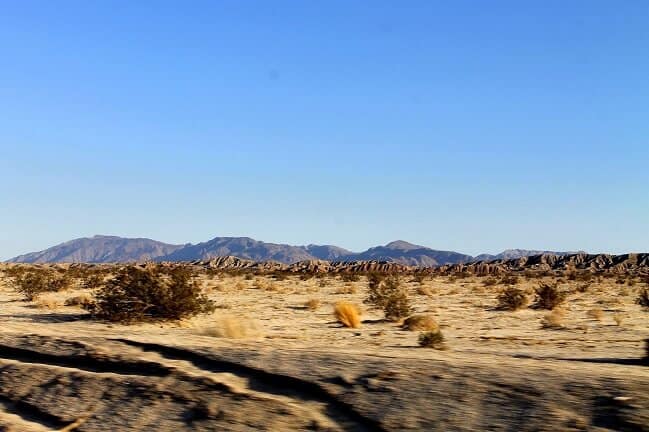 Joshua Tree Landscape