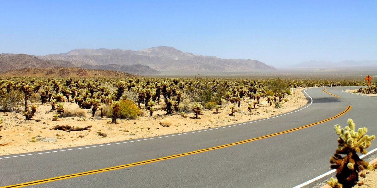Joshua Tree National Park Roads