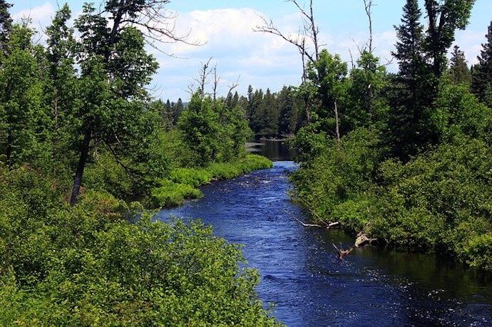 20 National Forests - Midwest