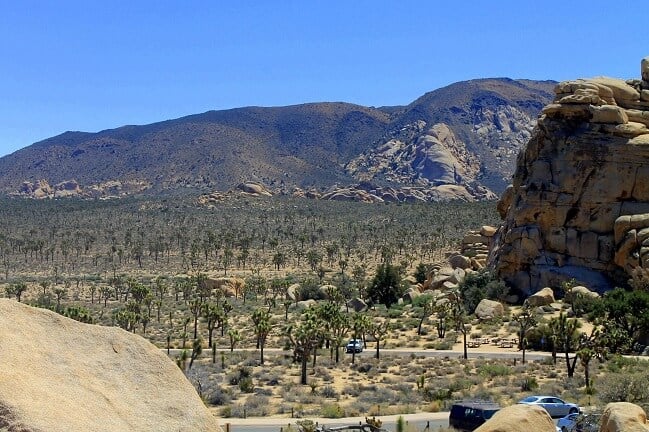 View from Joshua Tree Campsite