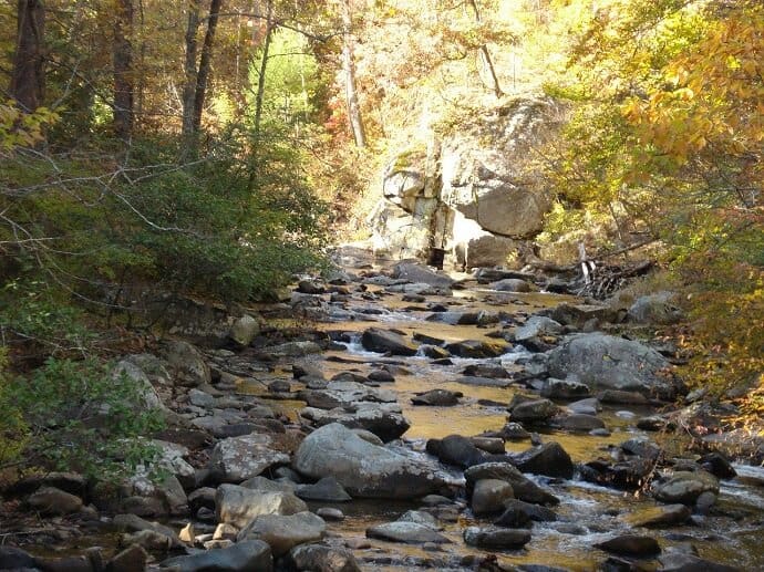 Pisgah National Forest