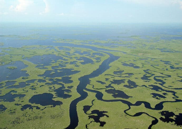 View of the unique ecosystem of Everglades National Park which makes it a natural UNESCO world heritage site