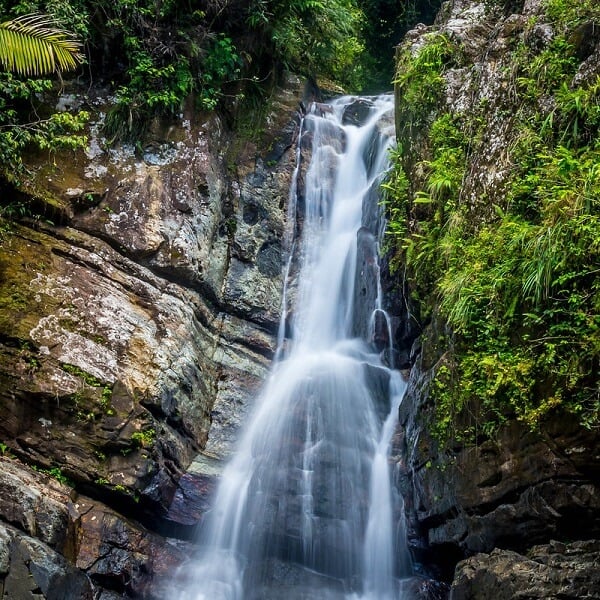 La Mina Falls, El Yunque National Forest, Puerto Rico 