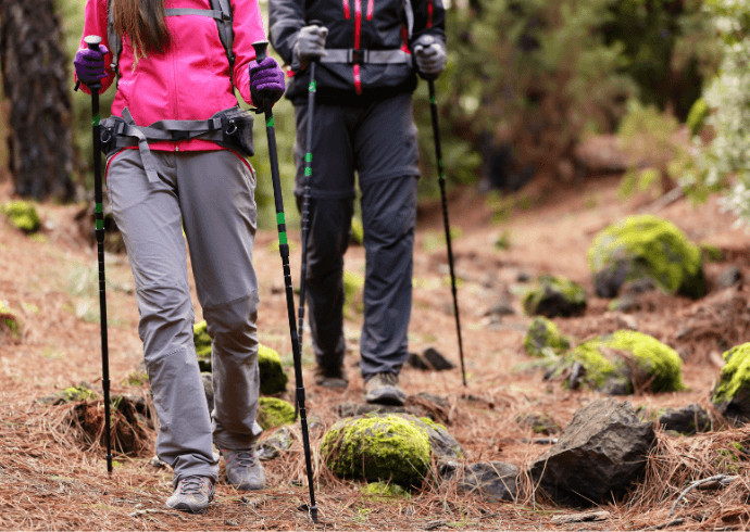 Hikers on Trail