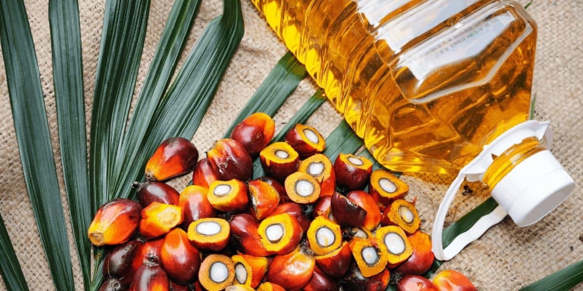 Palm Oil Lead