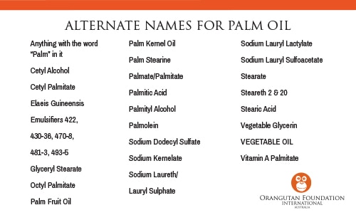 5 things you should know about palm oil