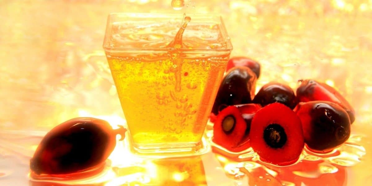 Facts about Palm Oil