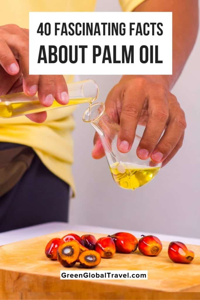 40 Fascinating Facts about Palm Oil Green Global Travel