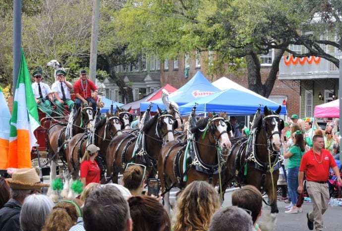 Budweiser Horses Savannah, GA St Patrick's Day