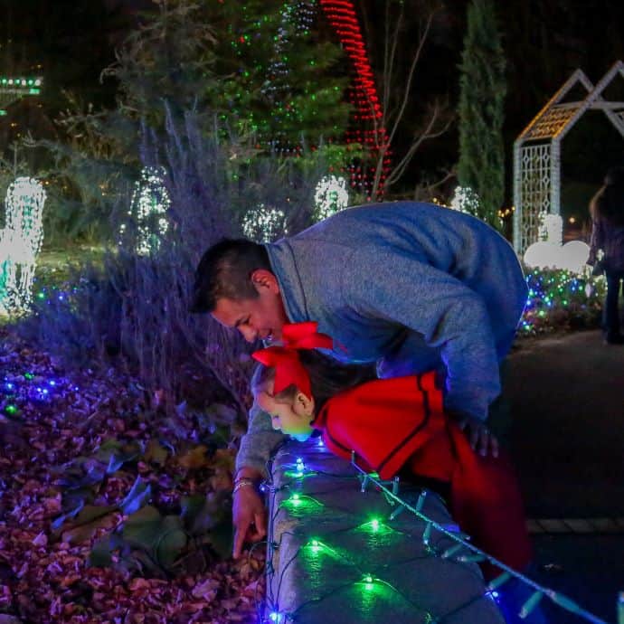 Winter Wonderlights - Christmas Lights in Athens GA