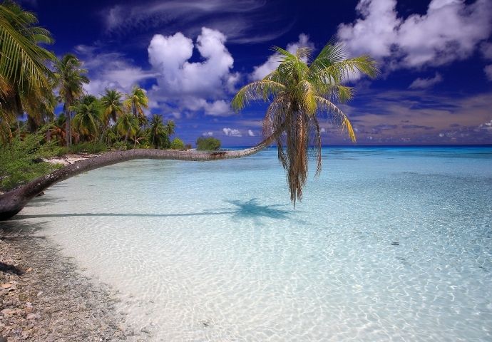 Tuamotu archipelago in the Polynesian Triangle via Canva