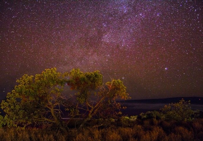 The stars over Mauna Kea on Hawaii's Big Island