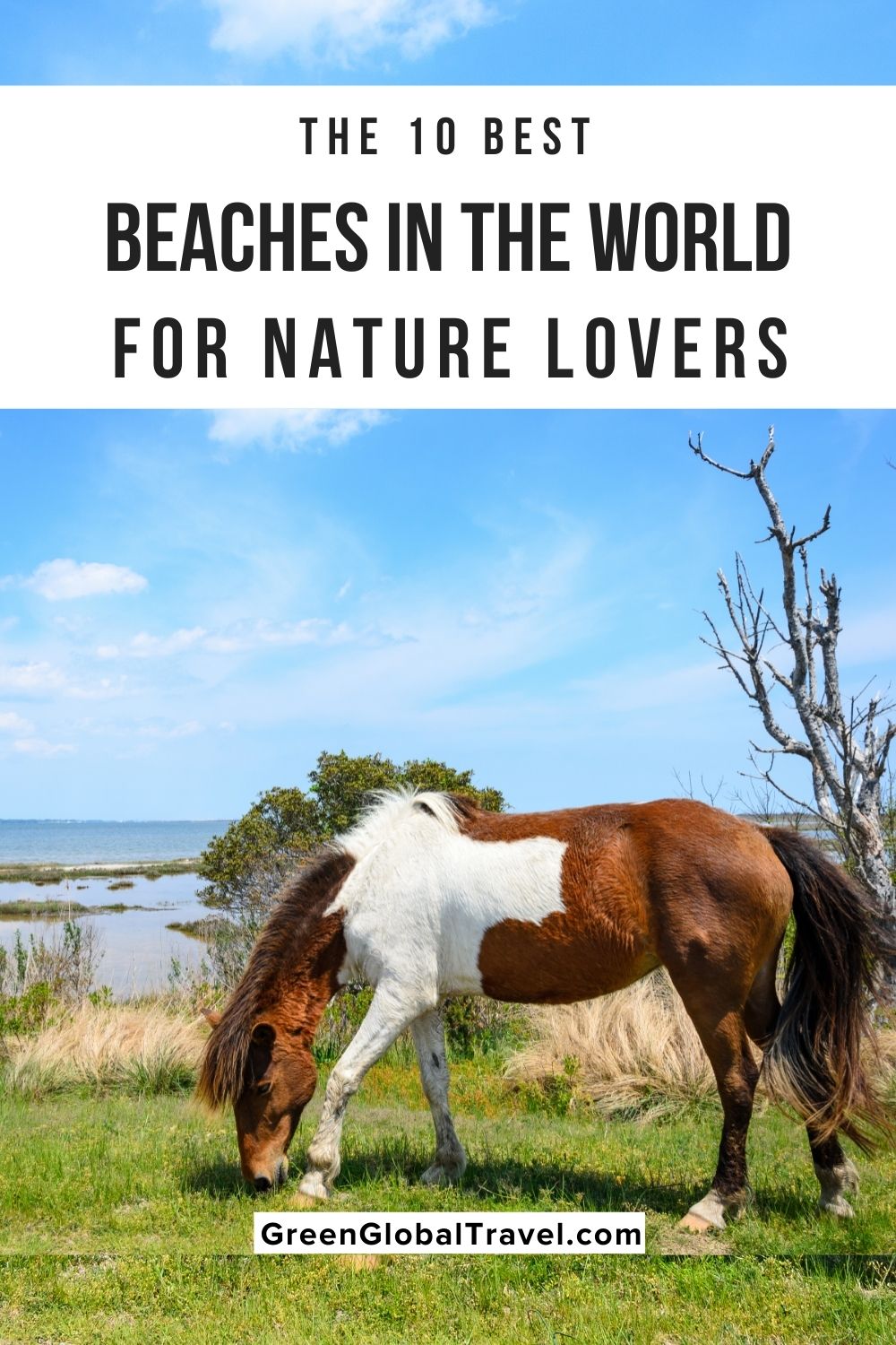 Best Beaches in the World for Nature