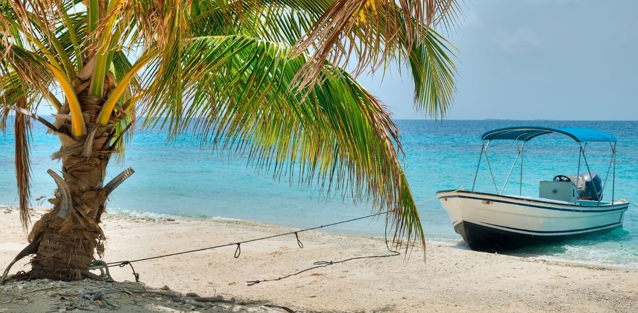 Best Beaches in the World. Island in Belize via Canva