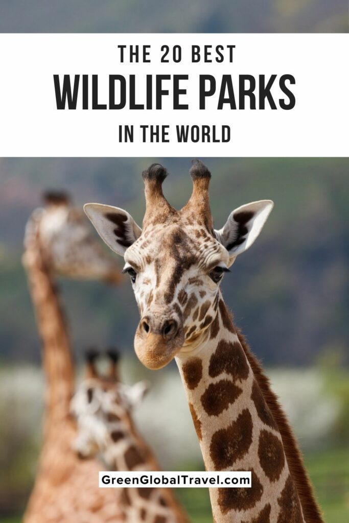 the-20-best-wildlife-parks-wildlife-tours-in-the-world