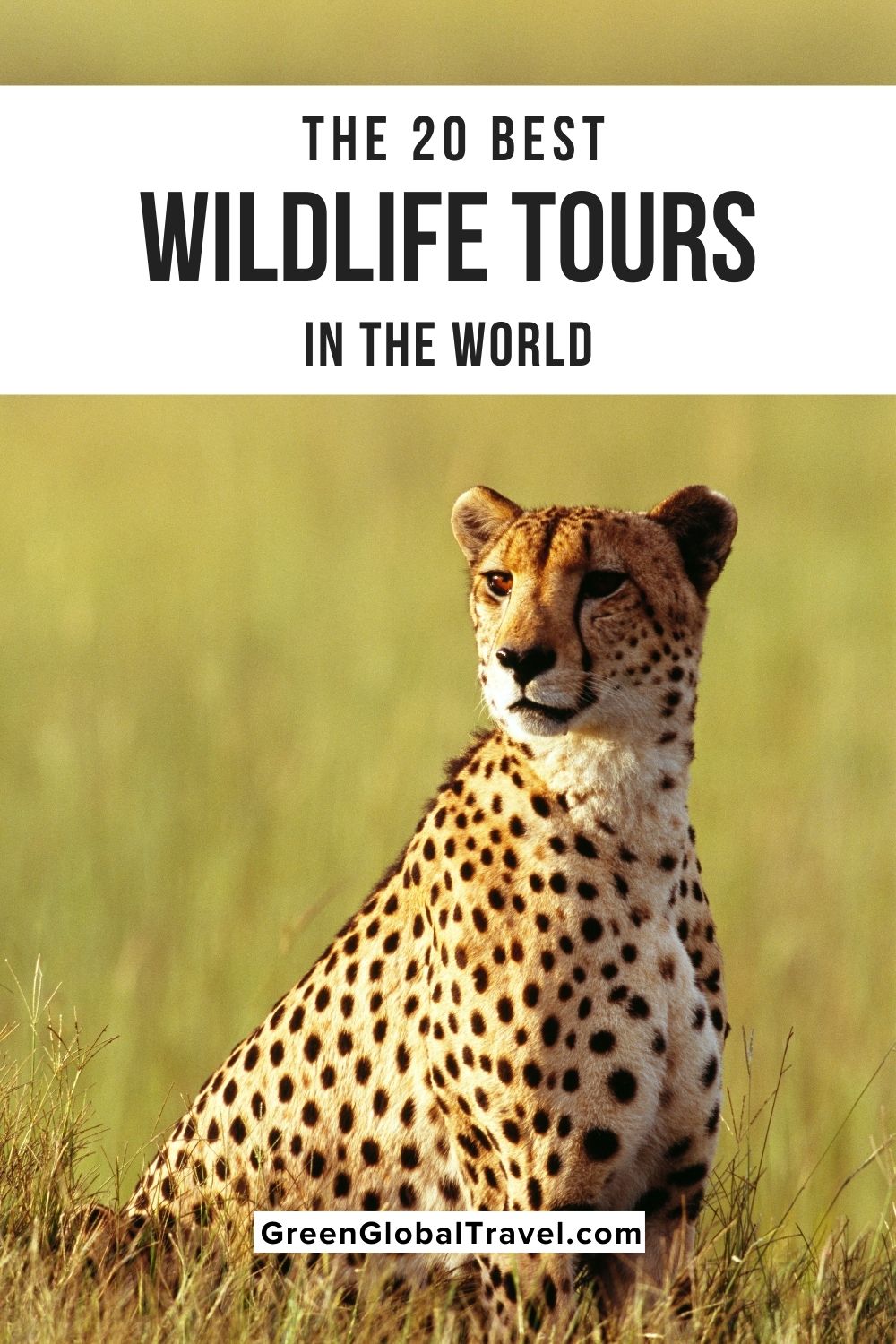 The 20 Best Wildlife Parks & Wildlife Tours in the World